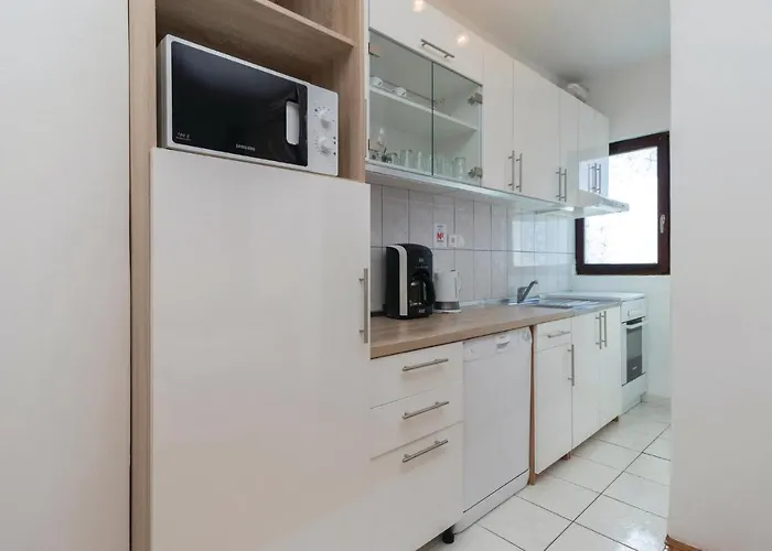 Vii Apartament